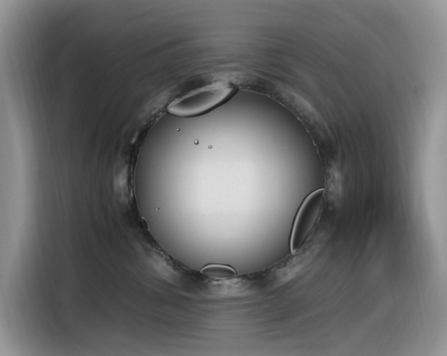 X0000116330428200912011136