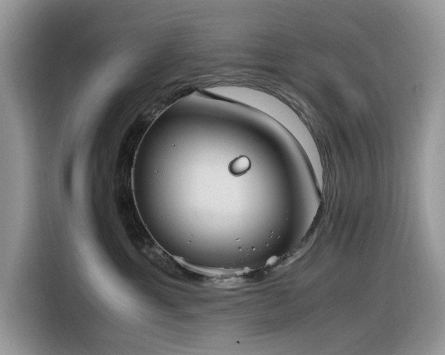 X0000116330429200912011136