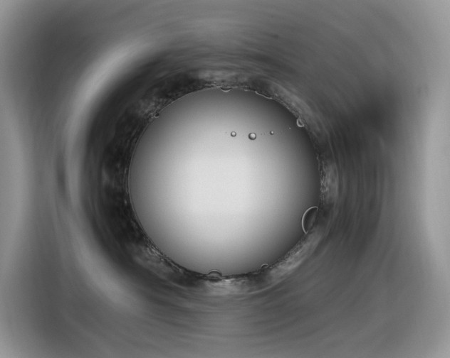 X0000116330430200912011136