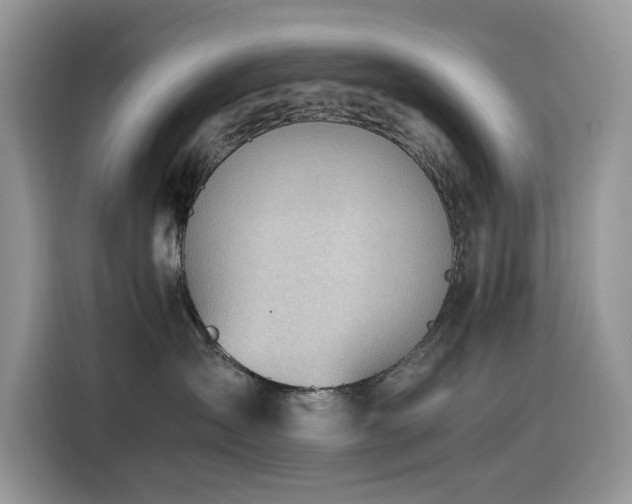 X0000116330431200912011136