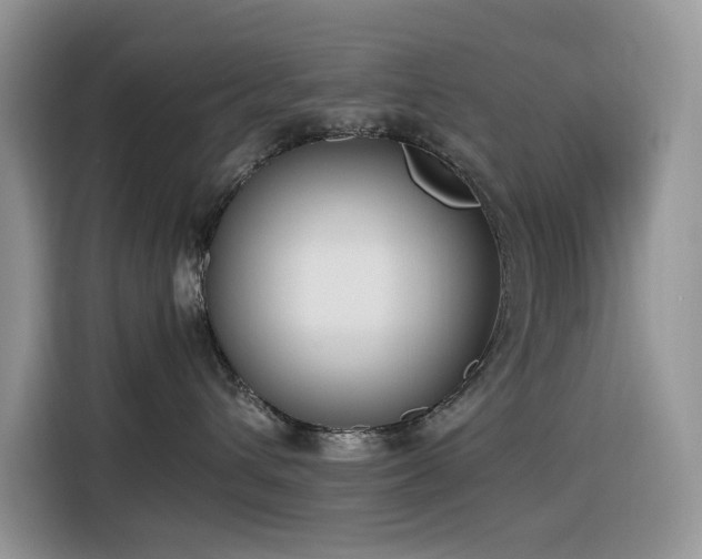 X0000116330432200912011136