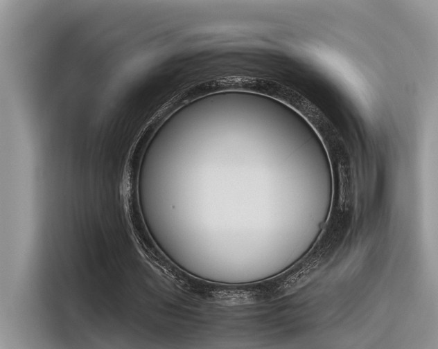 X0000116330435200912011135