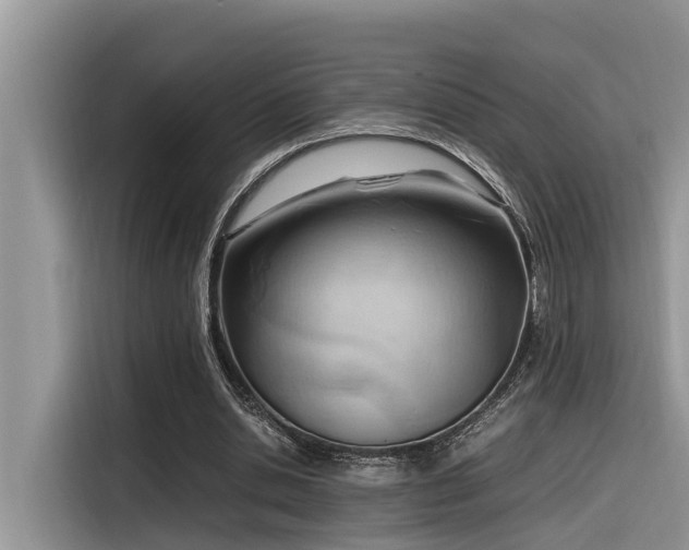 X0000116330438200912011135