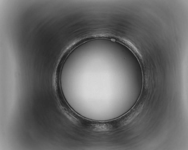 X0000116330439200912011135