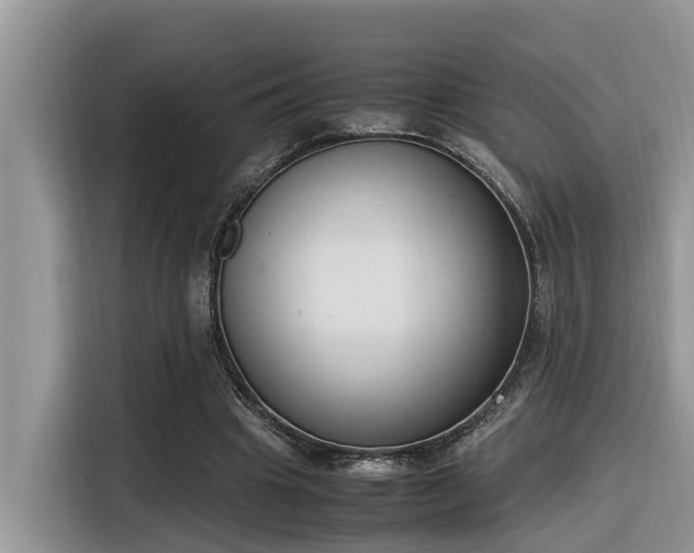 X0000116330441200912011136