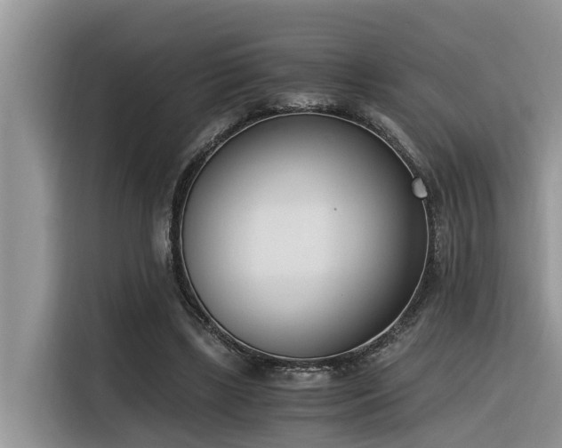 X0000116330443200912011136