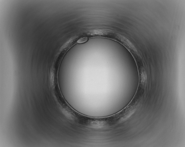 X0000116330444200912011136