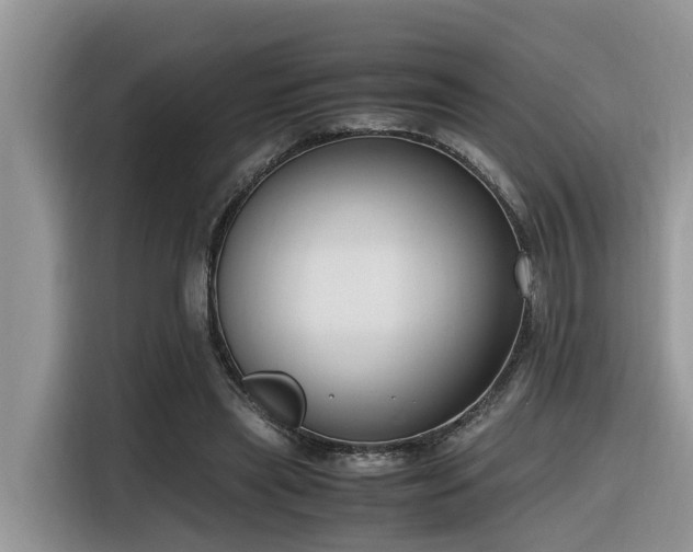 X0000116330445200912011136
