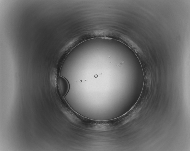 X0000116330446200912011136