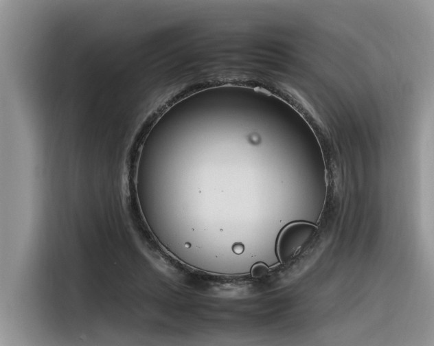 X0000116330447200912011136