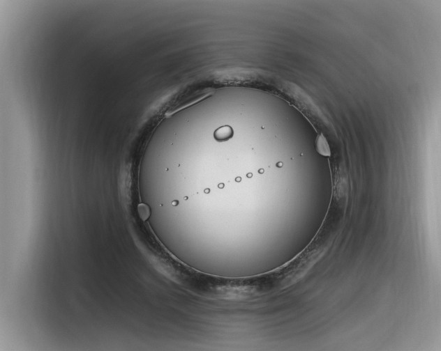 X0000116330448200912011136
