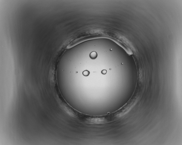 X0000116330449200912011136