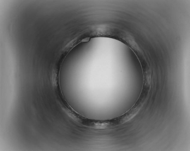 X0000116330450200912011136