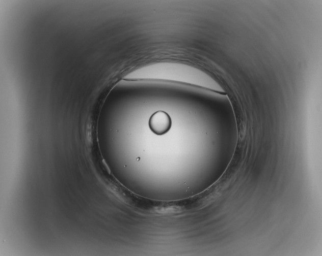 X0000116330452200912011136