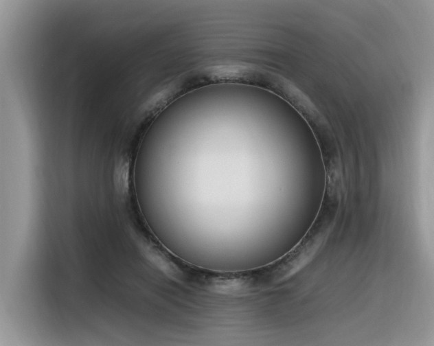 X0000116330454200912011136