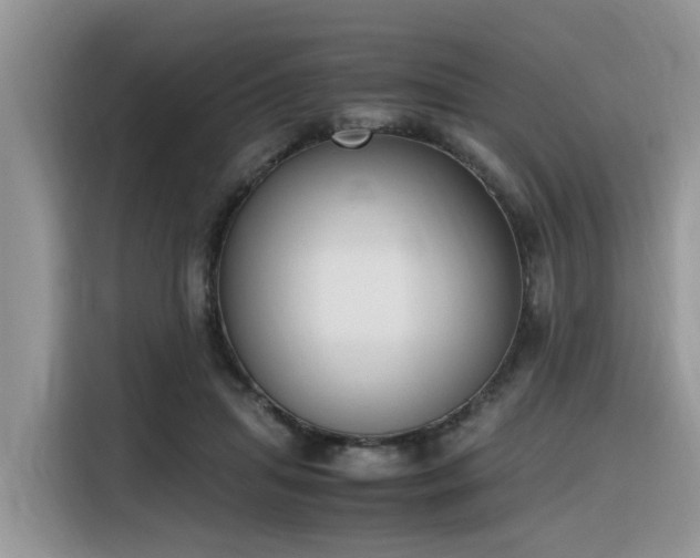 X0000116330455200912011136