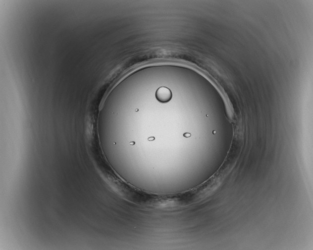 X0000116330456200912011136