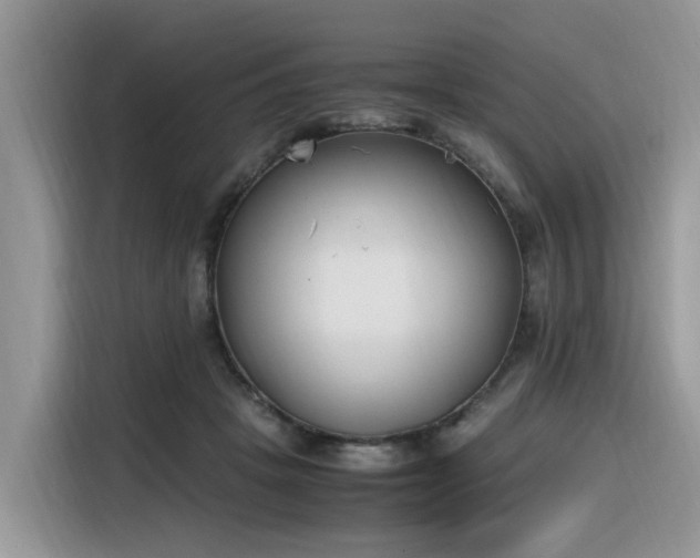 X0000116330457200912011136