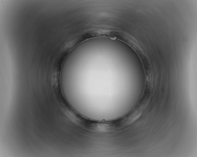 X0000116330462200912011136