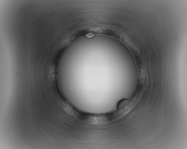 X0000116330466200912011136