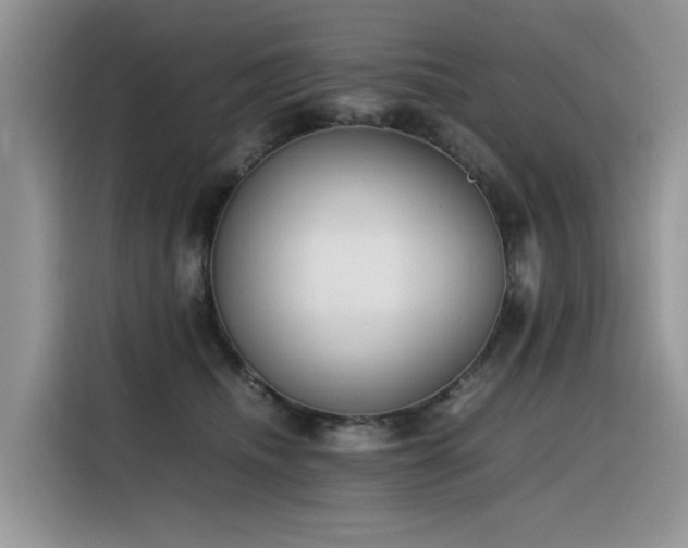 X0000116330468200912011136