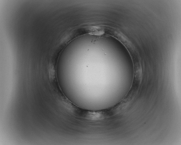 X0000116330469200912011136