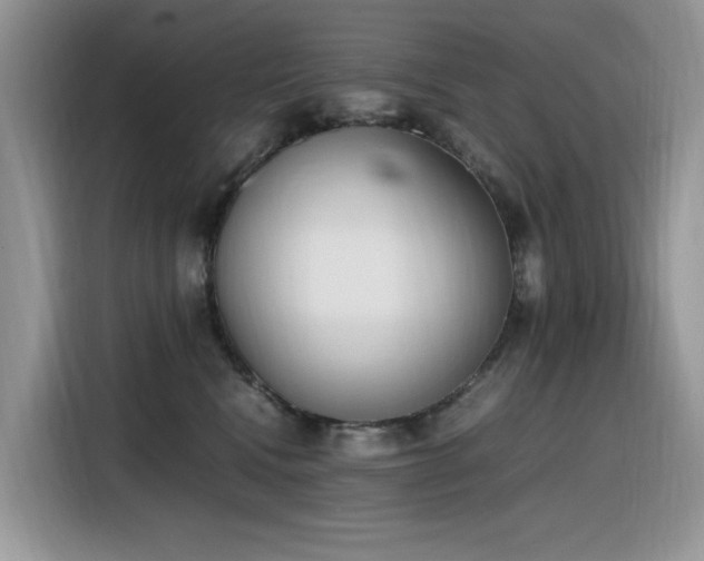 X0000116330472200912011136