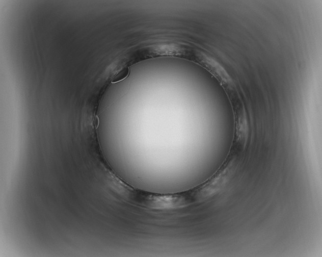 X0000116330473200912011136