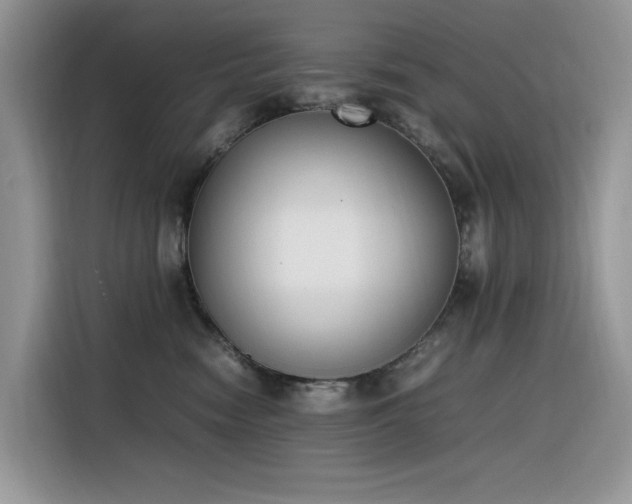 X0000116330474200912011136