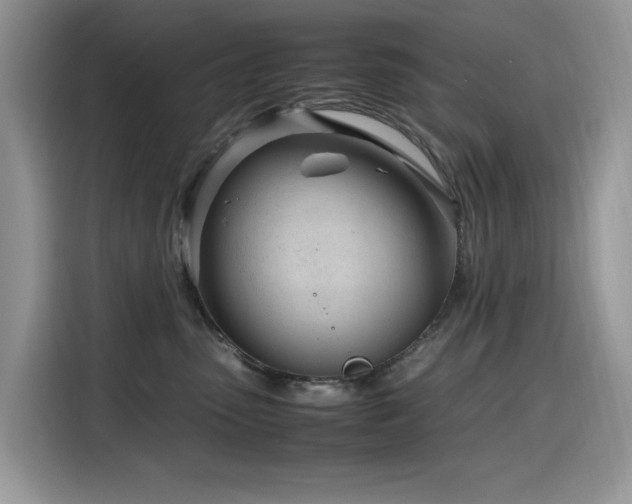 X0000116330475200912011136
