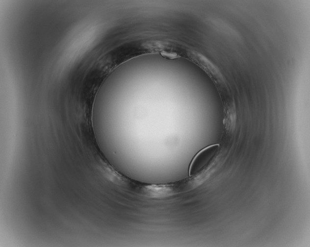 X0000116330477200912011136
