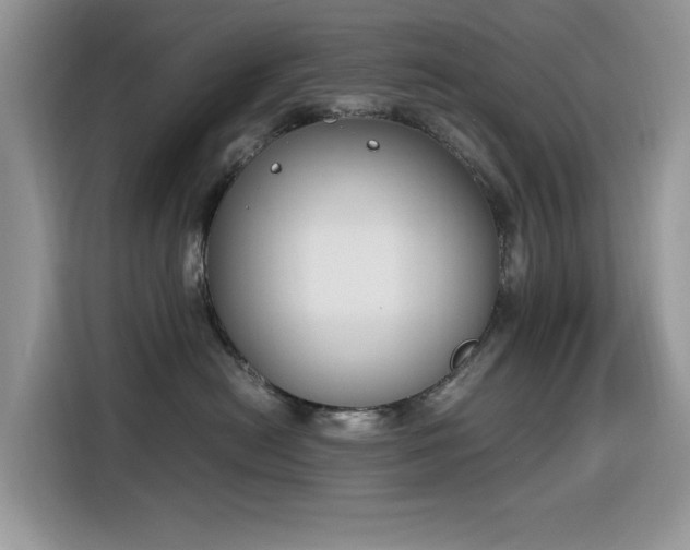 X0000116330478200912011136