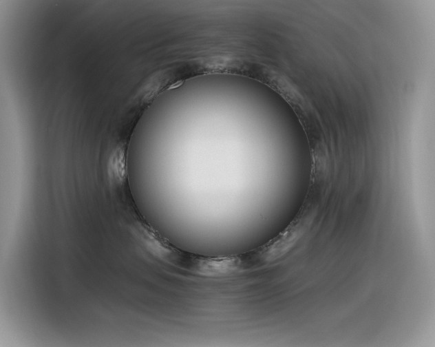 X0000116330479200912011136