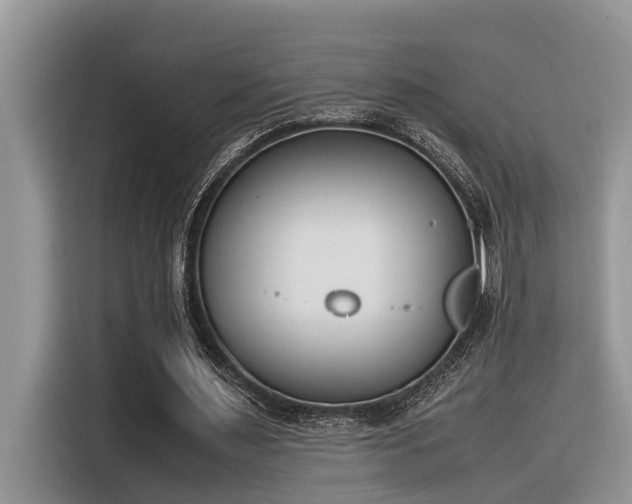 X0000116330483200912011135