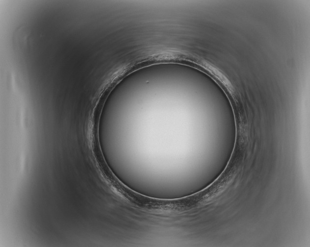 X0000116330485200912011135