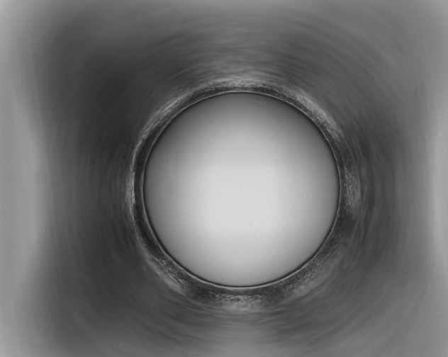 X0000116330486200912011135