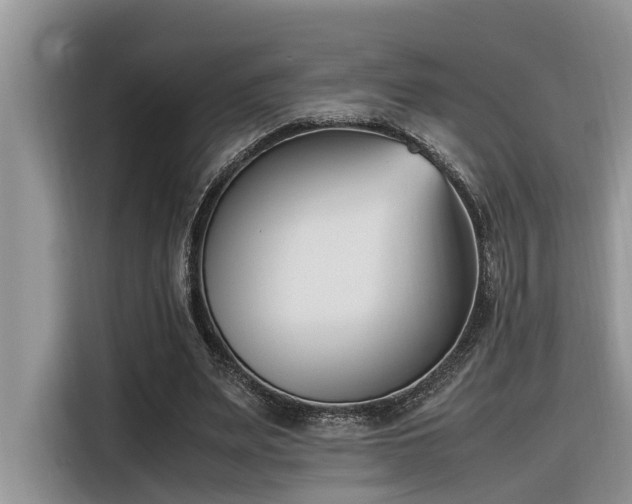 X0000116330487200912011135