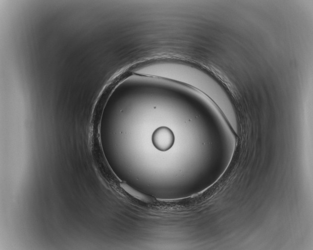 X0000116330488200912011135