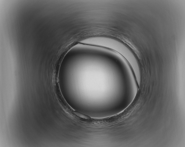 X0000116330489200912011135