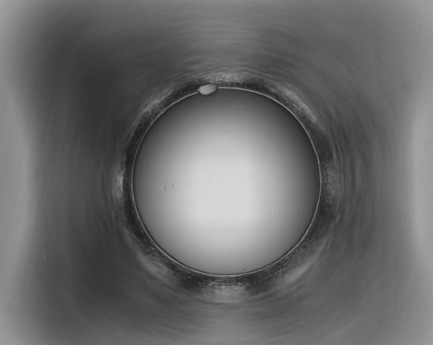 X0000116330491200912011135