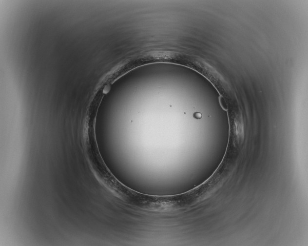 X0000116330492200912011135