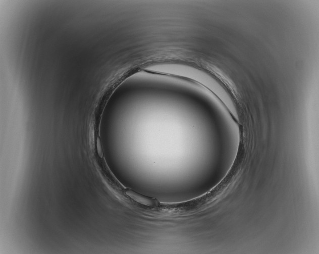 X0000116330493200912011135