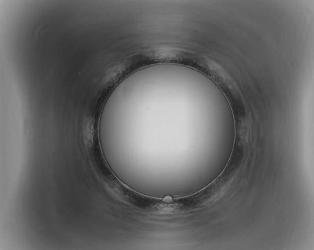 X0000116330495200912011135