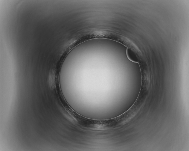 X0000116330496200912011135