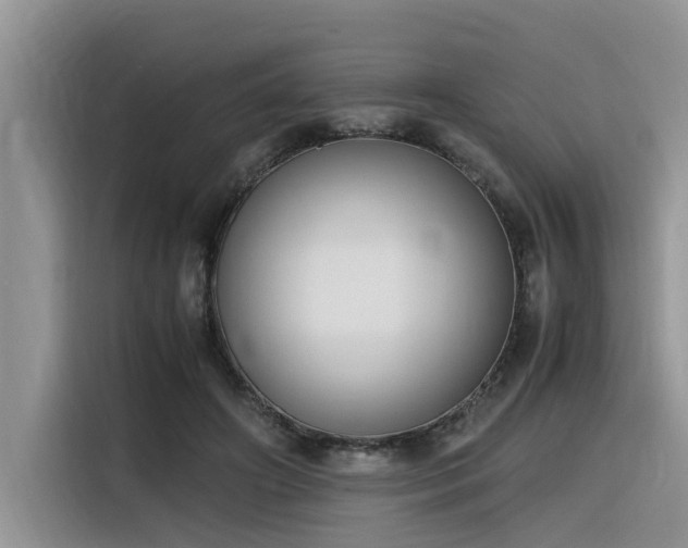 X0000116330498200912011135