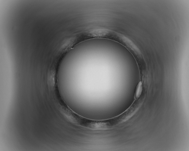 X0000116330501200912011135
