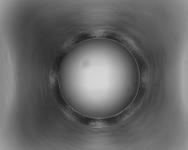X0000116330503200912011135