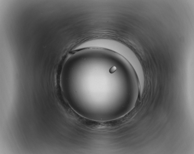X0000116330504200912011135