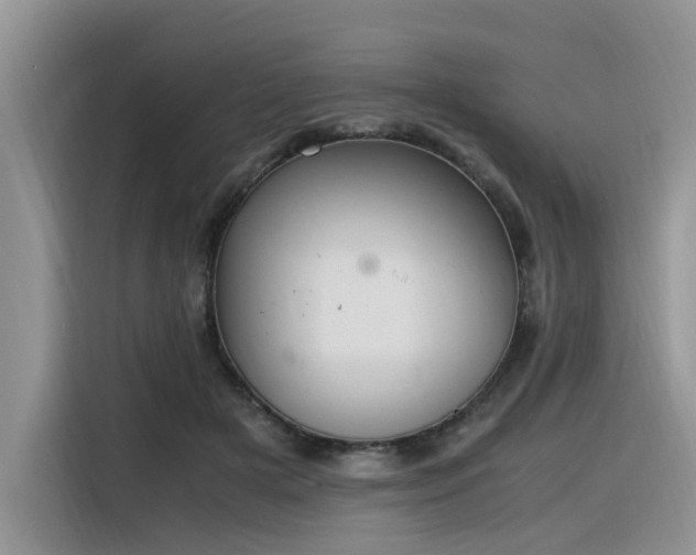 X0000116330505200912011135