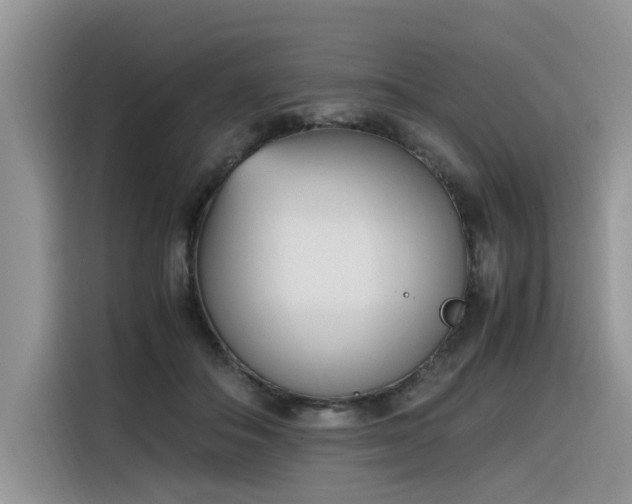 X0000116330506200912011135
